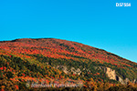 Fall colours, Cap Tourmente, Quebec, Canada